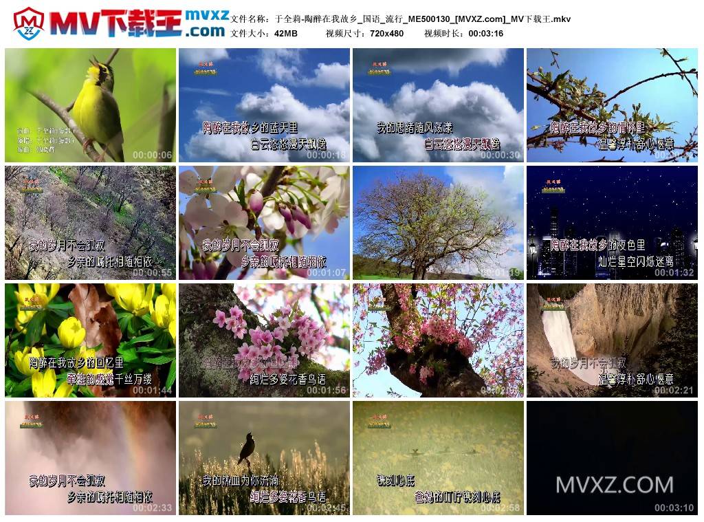 于全莉-陶醉在我故乡_国语_流行_ME500130